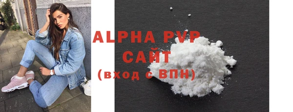 индика Ижевск