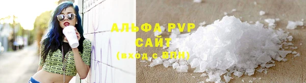 индика Ижевск